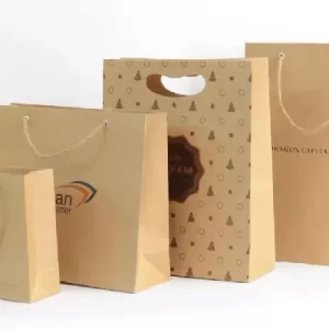 طراحی-ساک-کاغذی-کرافت